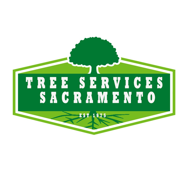 Tree Services Sacramento Reviews